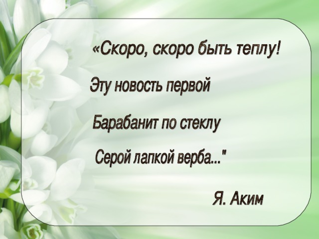 Ивовый пир план