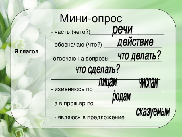 Ивовый пир план