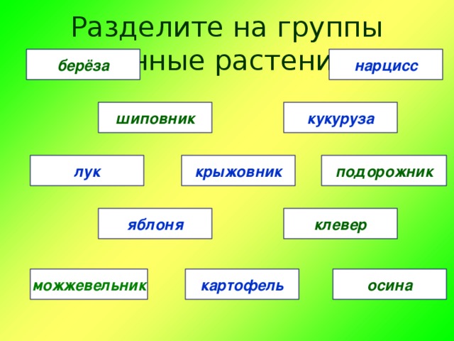 Растениеводство 3 класс презентация школа россии презентация