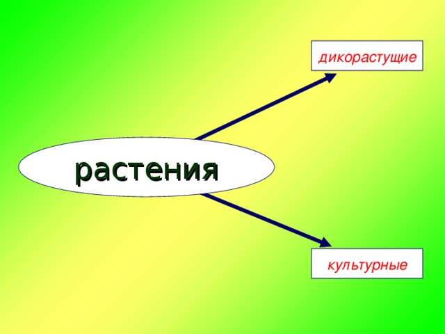 дикорастущие растения культурные