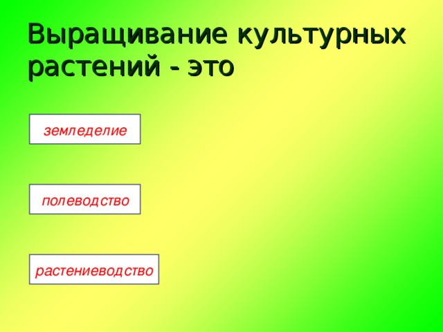 Выращивание культурных растений - это земледелие полеводство растениеводство