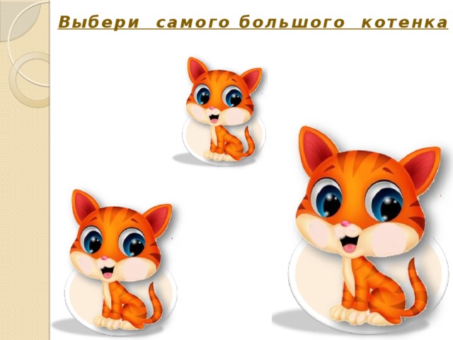 Выбери самого большого котенка 