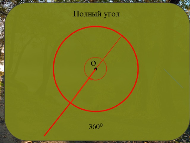 Полный угол о 360⁰ 