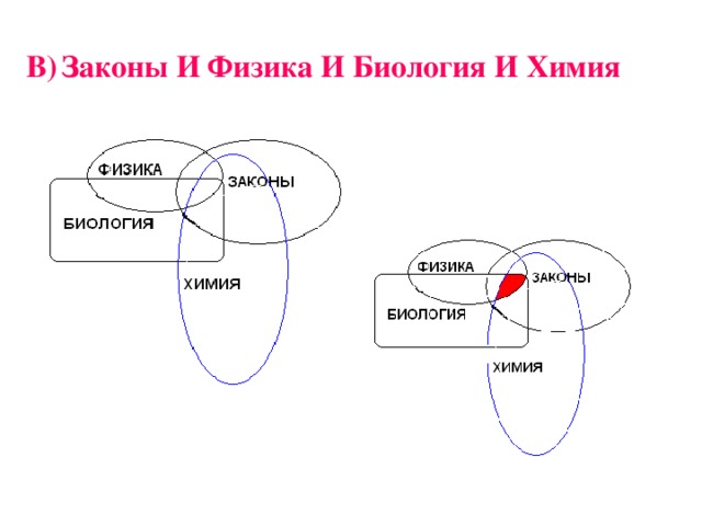 В)  Законы И Физика И Биология И Химия  