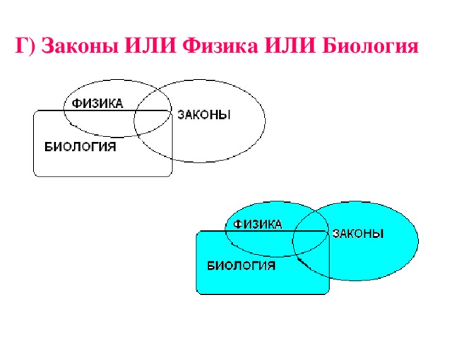 Г) Законы ИЛИ Физика ИЛИ Биология  