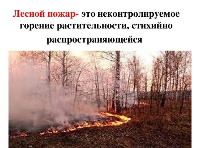 Лесной пожар- это  неконтролируемое горение растительности, стихийно распространяющейся  