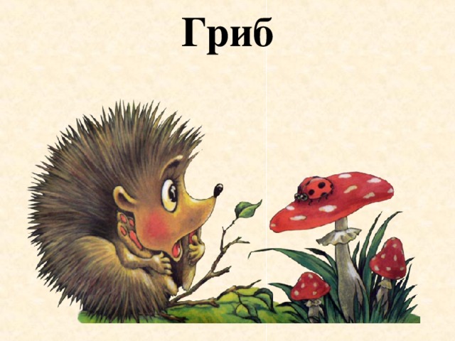 Гриб 