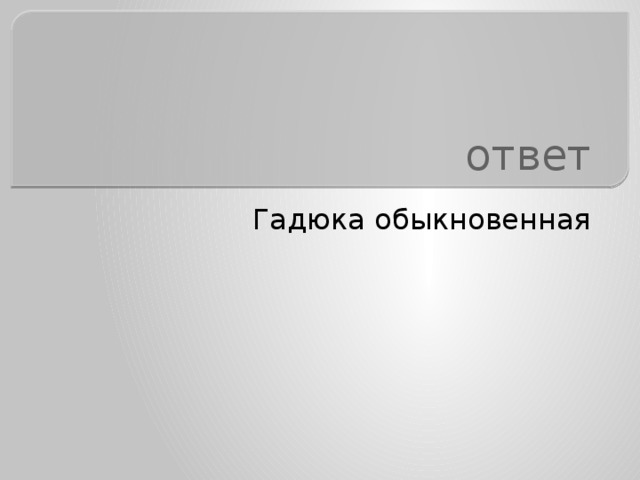 ответ Гадюка обыкновенная 