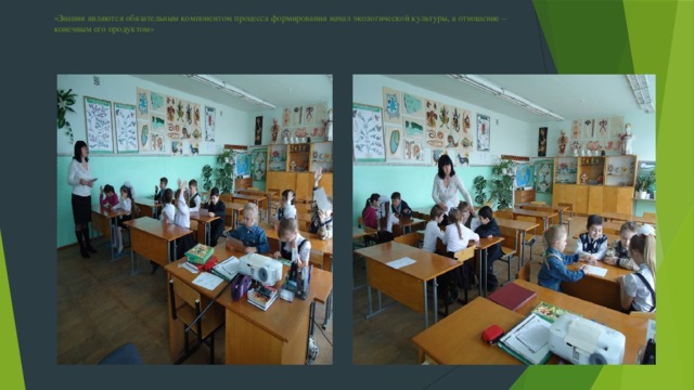 «Знания являются обязательным компонентом процесса формирования начал экологической культуры, а отношение –  конечным его продуктом»        