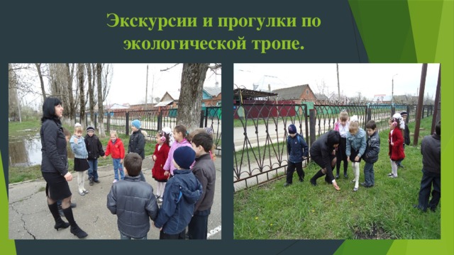 Экскурсии и прогулки по экологической тропе. 