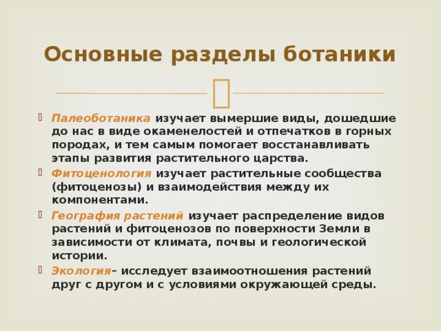 Основные разделы ботаники Палеоботаника  изучает вымершие виды, дошедшие до нас в виде окаменелостей и отпечатков в горных породах, и тем самым помогает восстанавливать этапы развития растительного царства. Фитоценология  изучает растительные сообщества (фитоценозы) и взаимодействия между их компонентами. География растений  изучает распределение видов растений и фитоценозов по поверхности Земли в зависимости от климата, почвы и геологической истории. Экология – исследует взаимоотношения растений друг с другом и с условиями окружающей среды. 