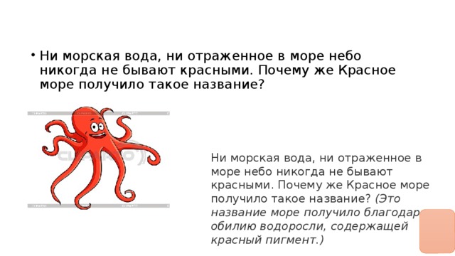 Ни морская вода, ни отраженное в море небо никогда не бывают красными. Почему же Красное море получило такое название?