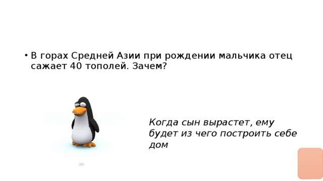 В горах Средней Азии при рождении мальчика отец сажает 40 тополей. Зачем? 