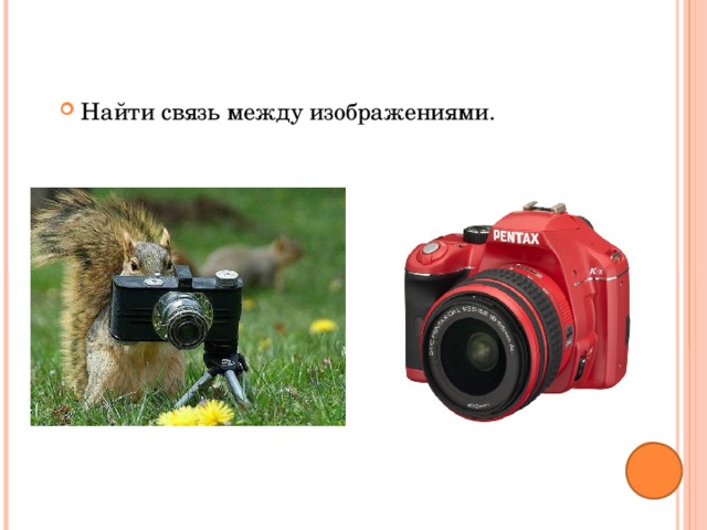 Найти связь между изображениями. 