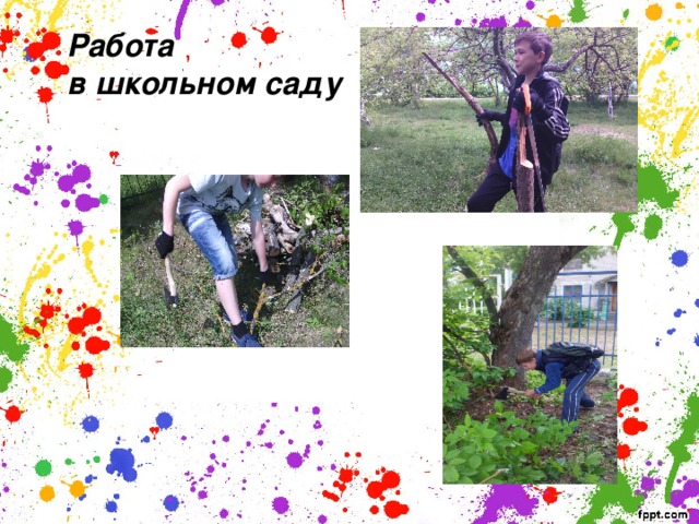 Работа в школьном саду 
