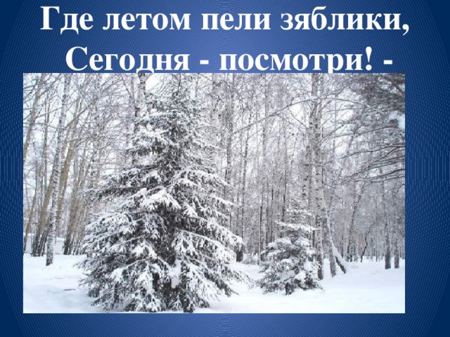 Где летом пели зяблики,  Сегодня - посмотри! -   