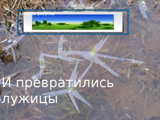   Вставка рисунка И превратились лужицы 