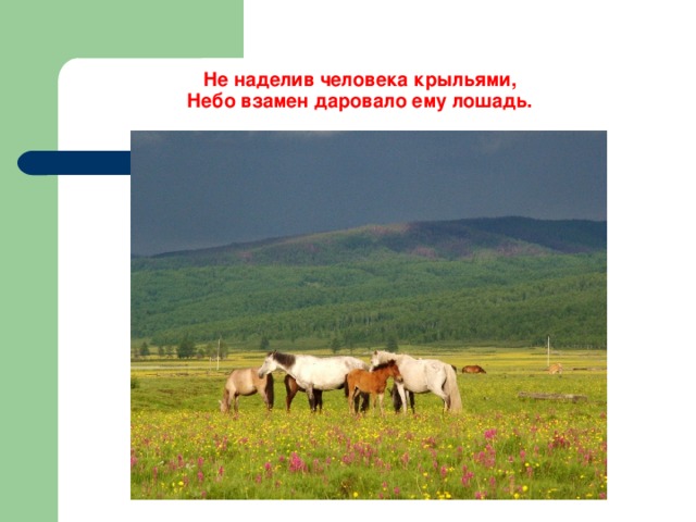 Не наделив человека крыльями,  Небо взамен даровало ему лошадь. 