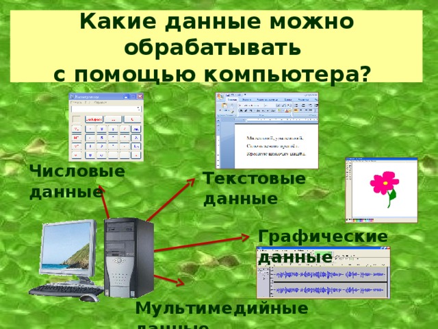 Какие данные можно обрабатывать  с помощью компьютера? Числовые данные Текстовые данные Графические данные Мультимедийные данные