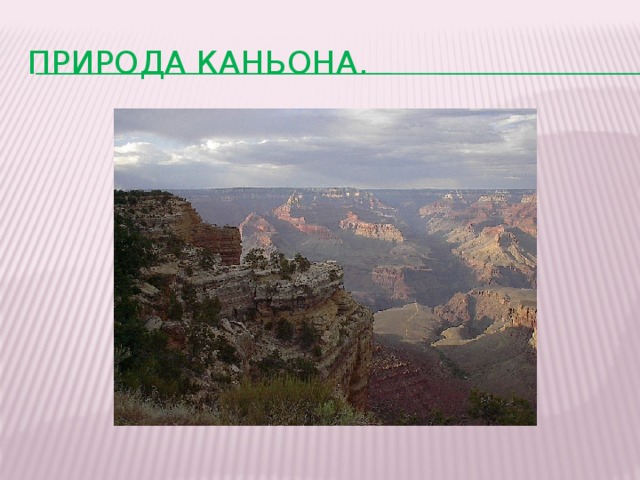 ПРИРОДА КАНЬОНА. 