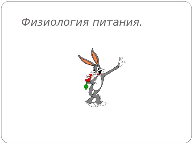 Физиология питания. 