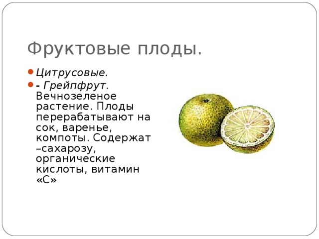Фруктовые плоды. Цитрусовые. - Грейпфрут. Вечнозеленое растение. Плоды перерабатывают на сок, варенье, компоты. Содержат –сахарозу, органические кислоты, витамин «С»  