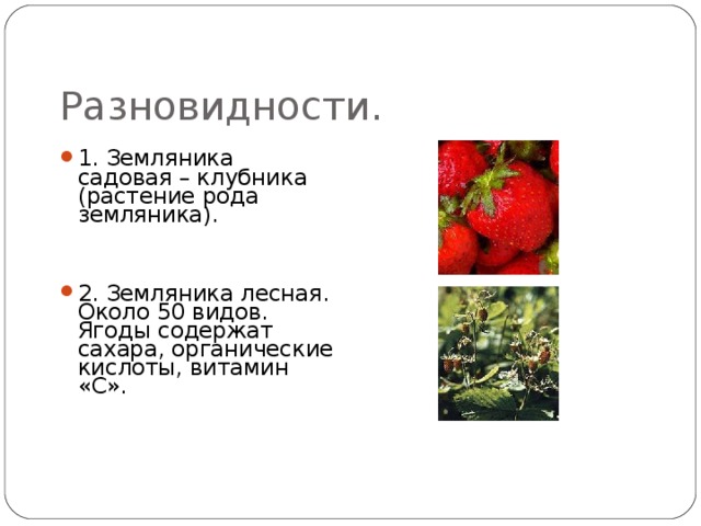 Разновидности. 1. Земляника садовая – клубника (растение рода земляника).   2. Земляника лесная. Около 50 видов. Ягоды содержат сахара, органические кислоты, витамин «С». 