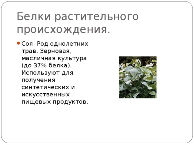 Белки растительного происхождения. Соя. Род однолетних трав. Зерновая, масличная культура (до 37% белка). Используют для получения синтетических и искусственных пищевых продуктов. 