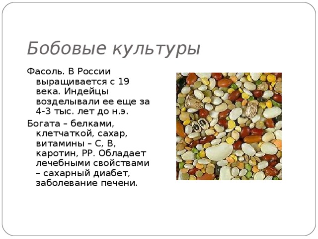 Бобовые культуры Фасоль. В России выращивается с 19 века. Индейцы возделывали ее еще за 4-3 тыс. лет до н.э. Богата – белками, клетчаткой, сахар, витамины – С, В, каротин, РР. Обладает лечебными свойствами – сахарный диабет, заболевание печени. 
