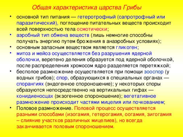 Презентация общая характеристика царства грибы