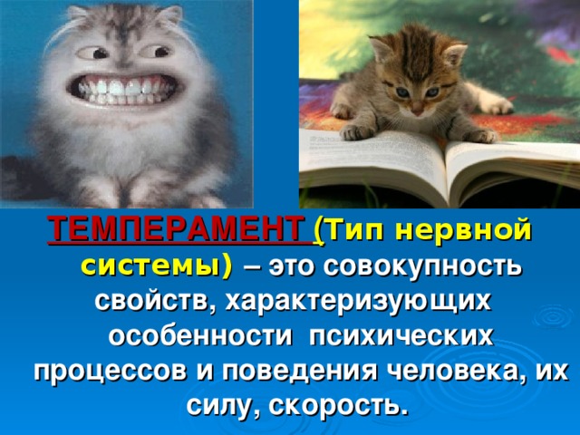 ТЕМПЕРАМЕНТ ( Тип нервной системы) – это совокупность свойств, характеризующих особенности психических процессов и поведения человека, их силу, скорость. 