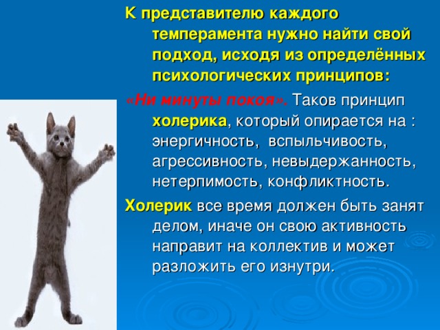 К представителю каждого темперамента нужно найти свой подход, исходя из определённых психологических принципов: «Ни минуты покоя». Таков принцип холерика , который опирается на : энергичность, вспыльчивость, агрессивность, невыдержанность, нетерпимость, конфликтность. Холерик все время должен быть занят делом, иначе он свою активность направит на коллектив и может разложить его изнутри. 