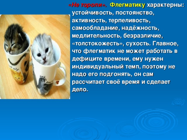  «Не торопи».   Флегматику  характерны: устойчивость, постоянство, активность, терпеливость, самообладание, надёжность, медлительность, безразличие, «толстокожесть», сухость. Главное, что флегматик не может работать в дефиците времени, ему нужен индивидуальный темп, поэтому не надо его подгонять, он сам рассчитает своё время и сделает дело. 