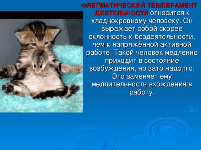 ФЛЕГМАТИЧЕСКИЙ ТЕМПЕРАМЕНТ ДЕЯТЕЛЬНОСТИ относится к хладнокровному человеку. Он выражает собой скорее склонность к бездеятельности, чем к напряжённой активной работе. Такой человек медленно приходит в состояние возбуждения, но зато надолго. Это заменяет ему медлительность вхождения в работу. 