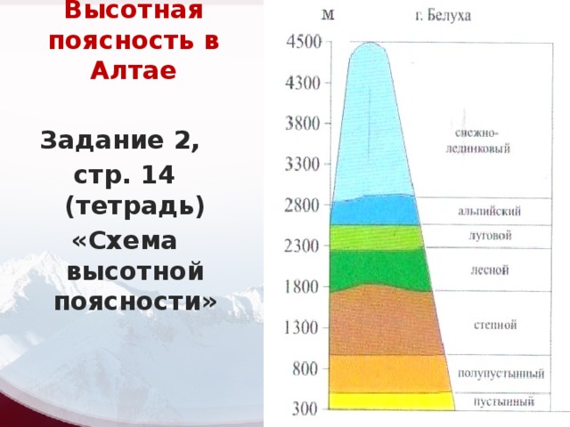Высотная поясность 8 класс презентация