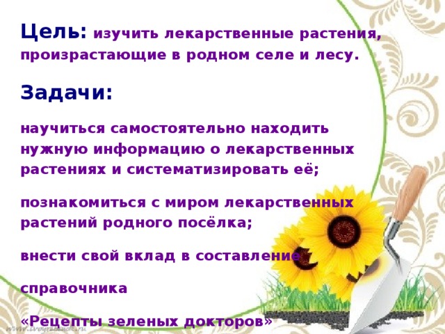 Цель: изучить лекарственные растения, произрастающие в родном селе и лесу. Задачи: научиться самостоятельно находить нужную информацию о лекарственных растениях и систематизировать её; познакомиться с миром лекарственных растений родного посёлка; внести свой вклад в составление справочника «Рецепты зеленых докторов»