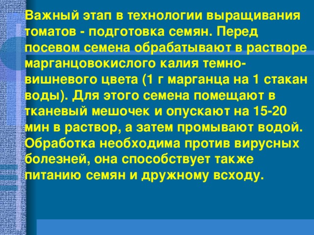 Важный этап в технологии выращивания томатов - подготовка семян. Перед посевом семена обрабатывают в растворе марганцовокислого калия темно-вишневого цвета (1 г марганца на 1 стакан воды). Для этого семена помещают в тканевый мешочек и опускают на 15-20 мин в раствор, а затем промывают водой. Обработка необходима против вирусных болезней, она способствует также питанию семян и дружному всходу.  