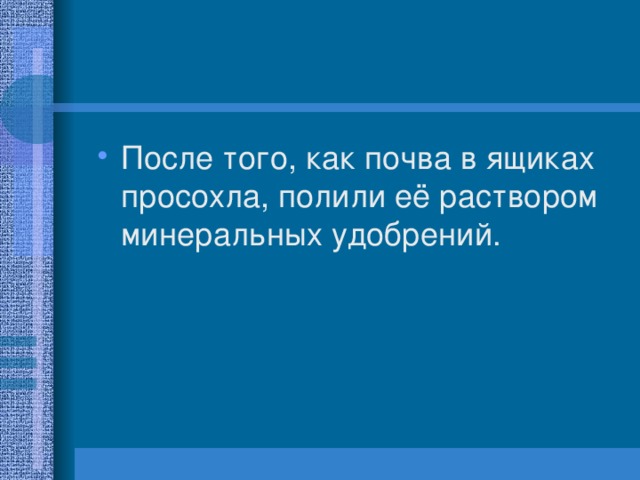 После того, как почва в ящиках просохла, полили её раствором минеральных удобрений. 