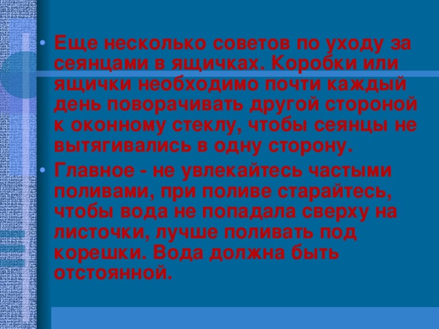 Еще несколько советов по уходу за сеянцами в ящичках. Коробки или ящички необходимо почти каждый день поворачивать другой стороной к оконному стеклу, чтобы сеянцы не вытягивались в одну сторону. Главное - не увлекайтесь частыми поливами, при поливе старайтесь, чтобы вода не попадала сверху на листочки, лучше поливать под корешки. Вода должна быть отстоянной. 