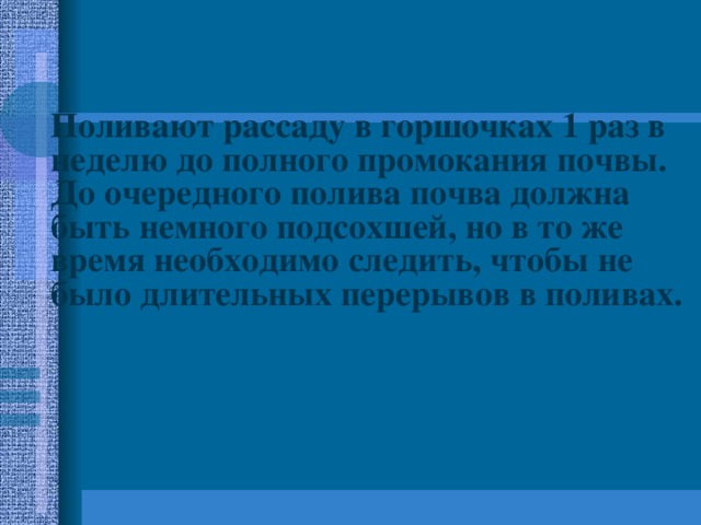Поливают рассаду в горшочках 1 раз в неделю до полного промокания почвы. До очередного полива почва должна быть немного подсохшей, но в то же время необходимо следить, чтобы не было длительных перерывов в поливах. 