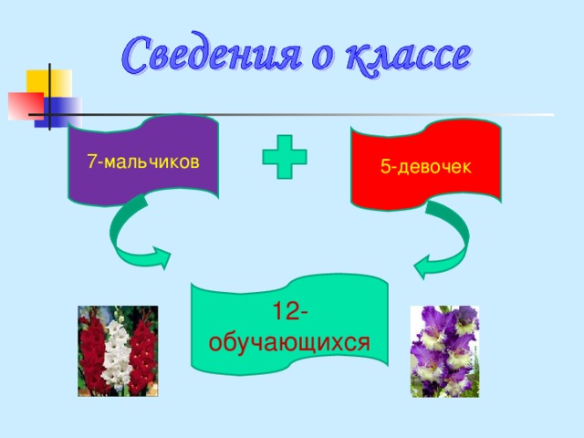 7-мальчиков 5-девочек 12-обучающихся 