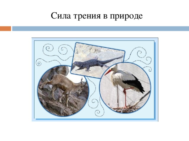 Сила трения в природе