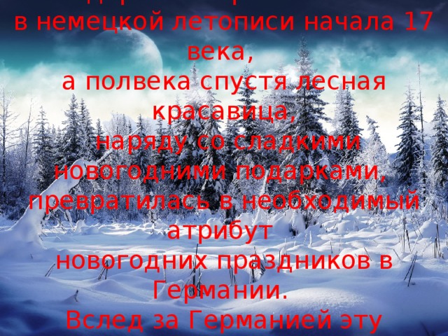 Итак, первое упоминание о «рождественском» дереве сохранилась в немецкой летописи начала 17 века, а полвека спустя лесная красавица,  наряду со сладкими новогодними подарками, превратилась в необходимый атрибут новогодних праздников в Германии. Вслед за Германией эту традицию переняли и другие страны Европы. 