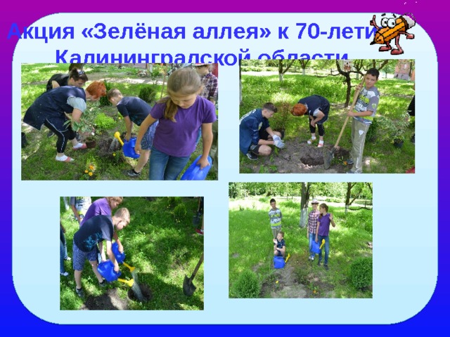 Акция «Зелёная аллея» к 70-летию Калининградской области 