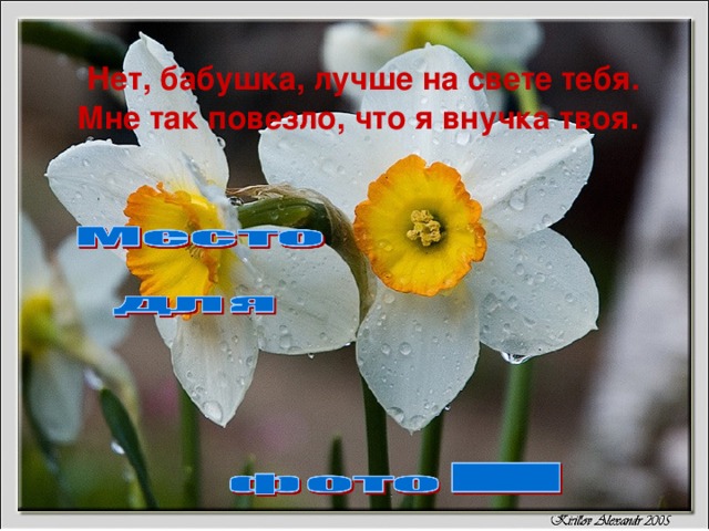  Нет, бабушка, лучше на свете тебя.  Мне так повезло, что я внучка твоя. 