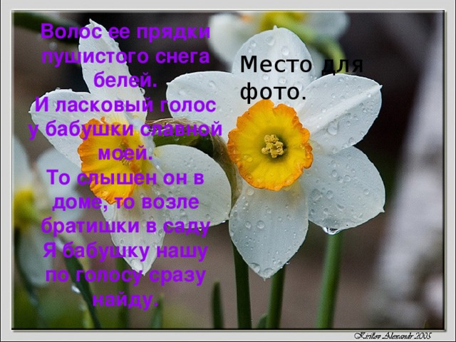 Волос ее прядки пушистого снега белей.  И ласковый голос у бабушки славной моей.  То слышен он в доме, то возле братишки в саду  Я бабушку нашу по голосу сразу найду. Место для фото. 