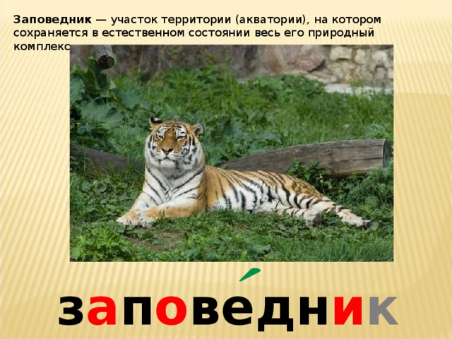 Заповедник  — участок территории (акватории), на котором сохраняется в естественном состоянии весь его природный комплекс. з а п о ведн и к 