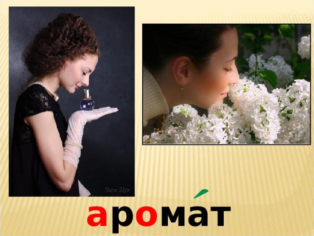 а р о мат  