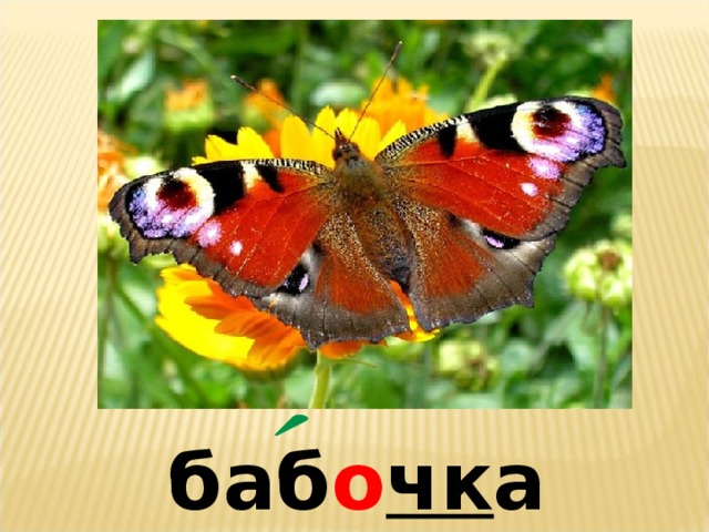 баб о чк а 