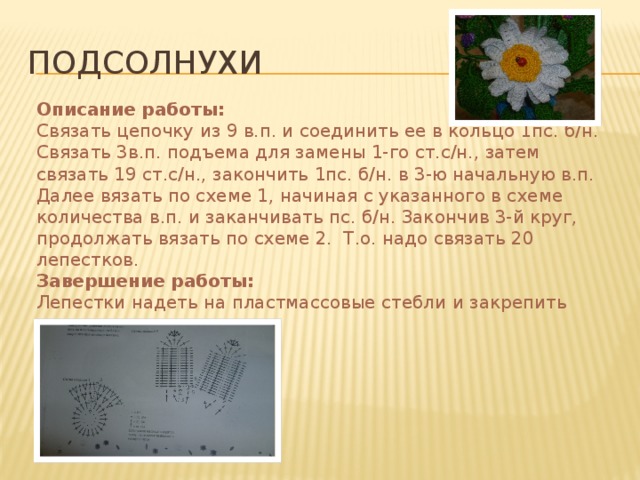 подсолнухи Описание работы: Связать цепочку из 9 в.п. и соединить ее в кольцо 1пс. б/н. Связать 3в.п. подъема для замены 1-го ст.с/н., затем связать 19 ст.с/н., закончить 1пс. б/н. в 3-ю начальную в.п. Далее вязать по схеме 1, начиная с указанного в схеме количества в.п. и заканчивать пс. б/н. Закончив 3-й круг, продолжать вязать по схеме 2. Т.о. надо связать 20 лепестков. Завершение работы: Лепестки надеть на пластмассовые стебли и закрепить при помощи пестика. 